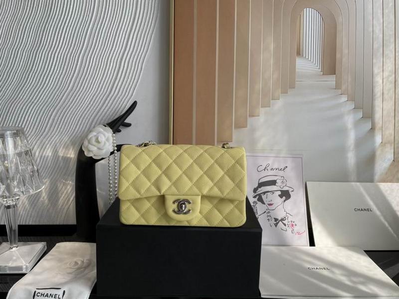 Chanel Handbags 451